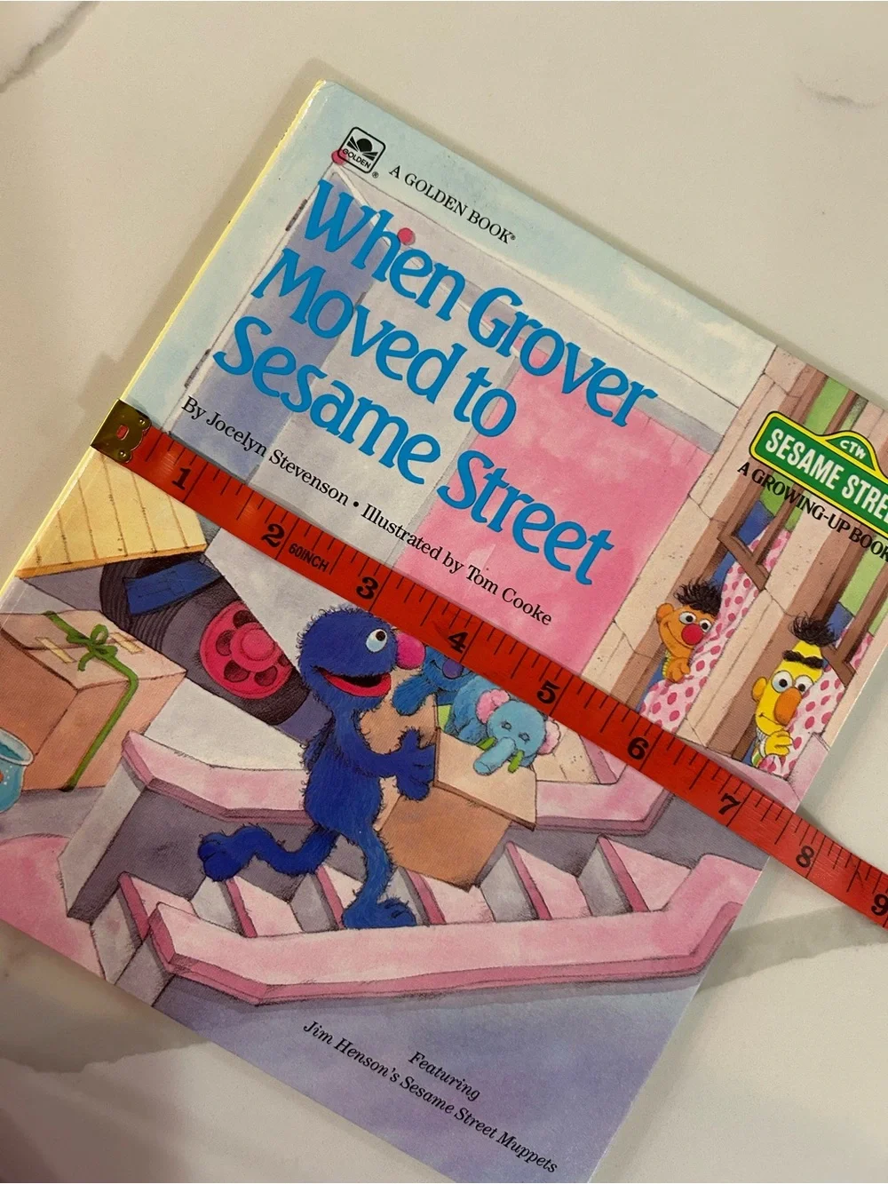 Sesame Street When Grover Moved to Sesame Street - Blue & Pink